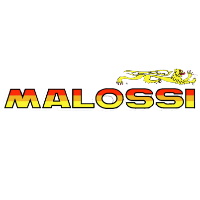 Huiles Malossi
